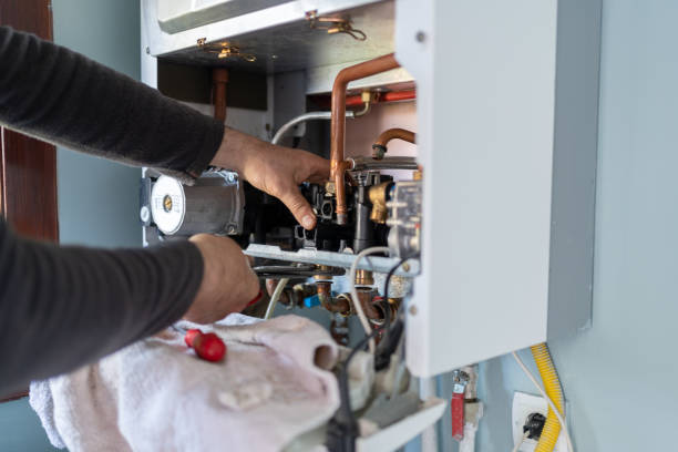 Best Plumbing Inspection Services  in Gridley, IL